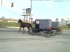 Amish Carts at the stoplight