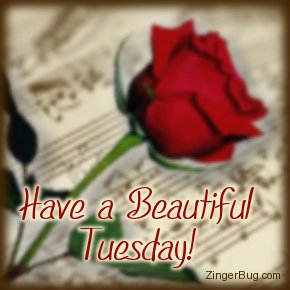 Have a Beautiful Tuesday!